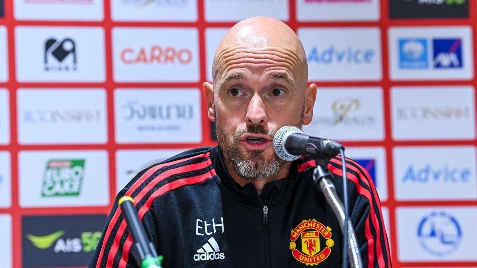 发展奠定了 发展奠定了