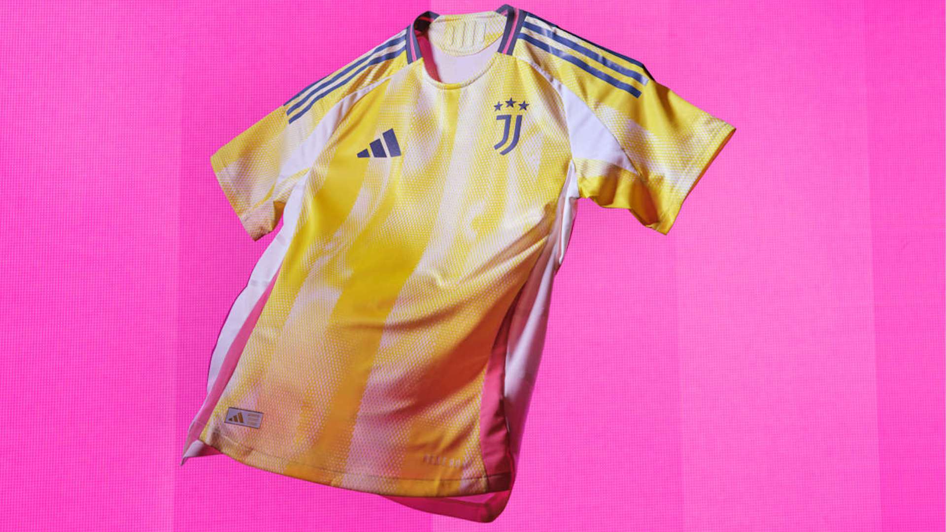 山东女排的 山东女排的