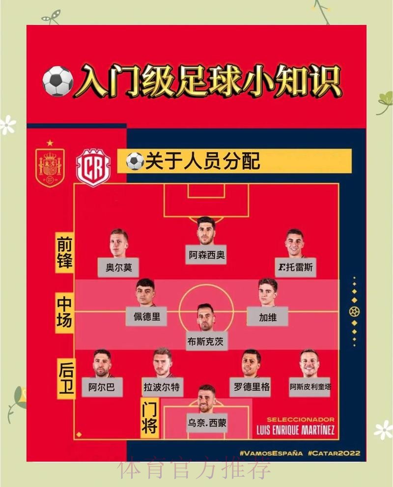 全面解析世界杯比分入口指南